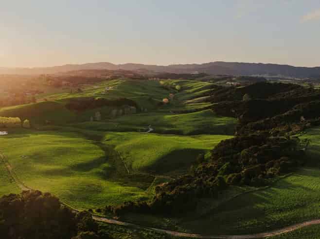 Lot13/2343 Cove Road, Mangawhai