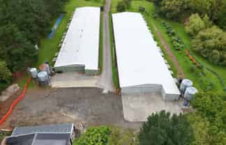 BIG, CHEAP, AND GOOD - RARE LOW-STUD WAREHOUSE
