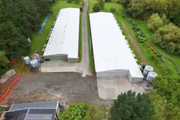 BIG, CHEAP, AND GOOD - RARE LOW-STUD WAREHOUSE
