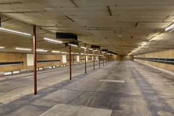 BIG, CHEAP, AND GOOD - RARE LOW-STUD WAREHOUSE
