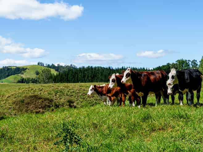 1-6/461 Otamarakau Valley Road, Pukehina