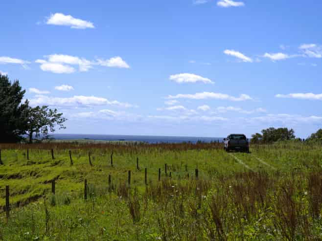 1-6/461 Otamarakau Valley Road, Pukehina