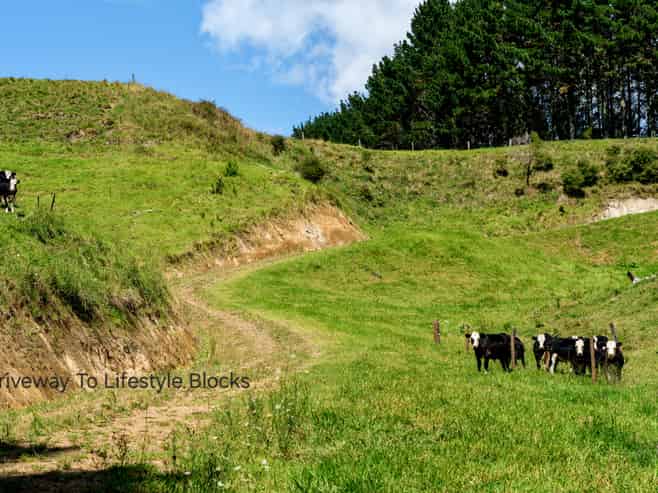 1-6/461 Otamarakau Valley Road, Pukehina