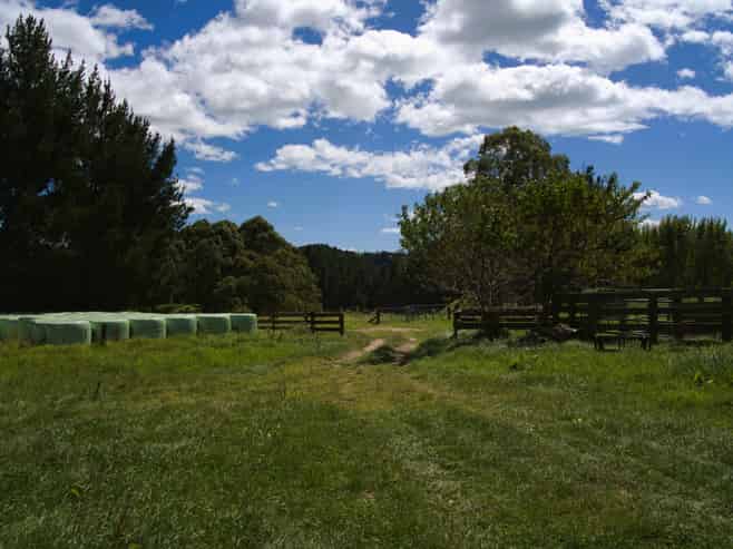 1-6/461 Otamarakau Valley Road, Pukehina