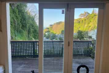 98 Milton Road, Bluff Hill