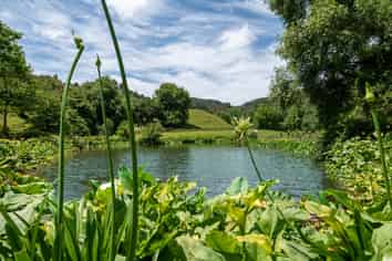 186 Twilight Road, Clevedon