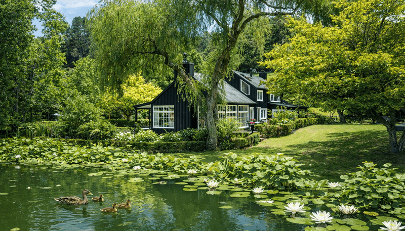 186 Twilight Road, Clevedon