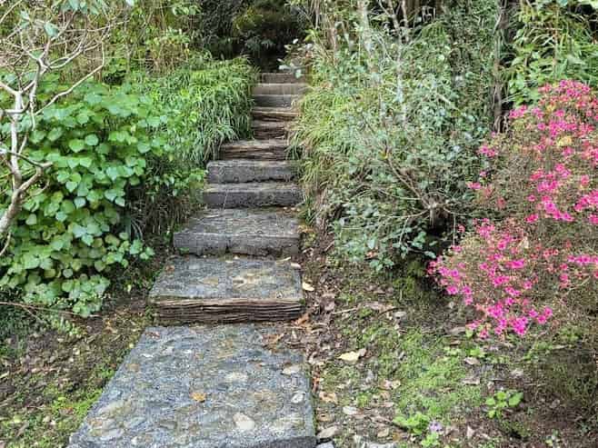 7 Francis Bell Grove, Lowry Bay