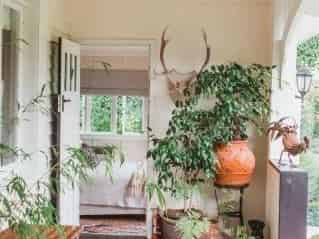 537 St Georges Road, Longlands