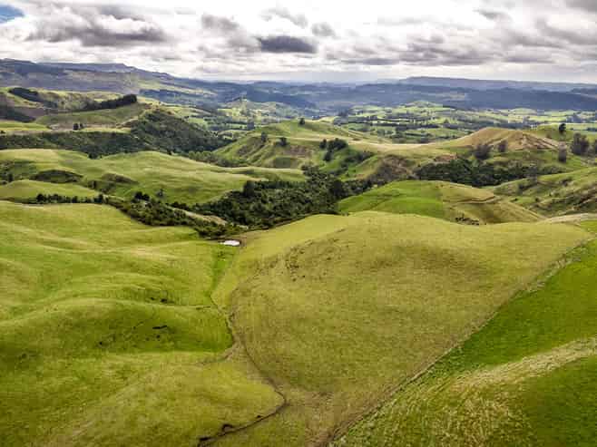 4332 Puketitiri Road, Puketitiri