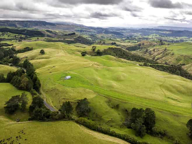 4332 Puketitiri Road, Puketitiri