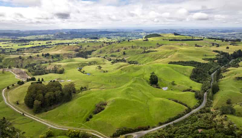 4332 Puketitiri Road, Puketitiri