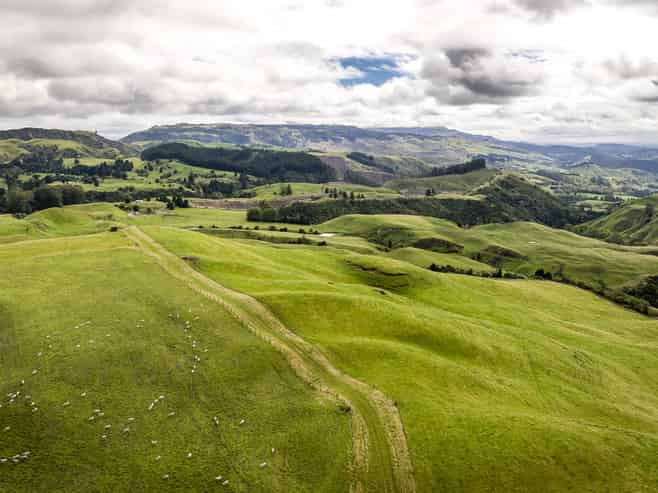 4332 Puketitiri Road, Puketitiri