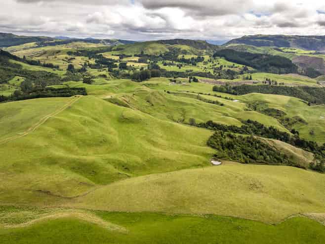 4332 Puketitiri Road, Puketitiri