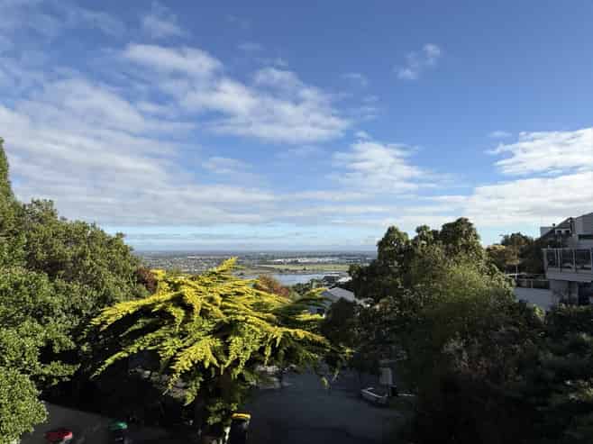 105 Cannon Hill Crescent, Mount Pleasant