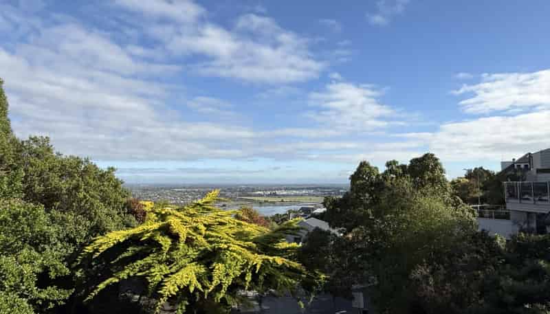 105 Cannon Hill Crescent, Mount Pleasant