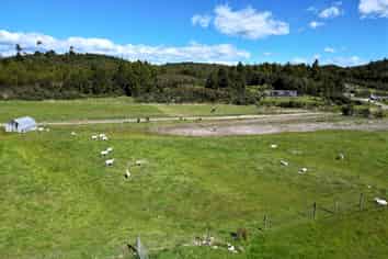  1147 Woodstock-Rimu Road, Ruatapu