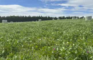 715 Cross Road, Dacre