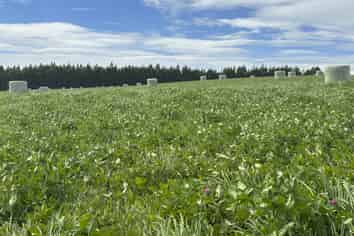 715 Cross Road, Dacre