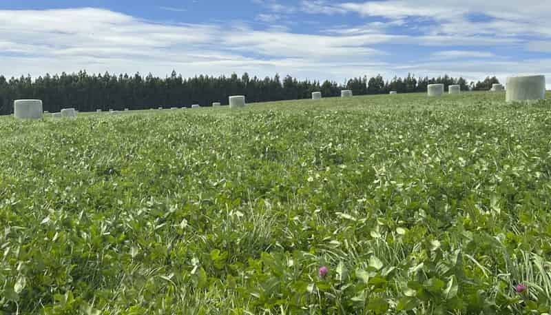 715 Cross Road, Dacre