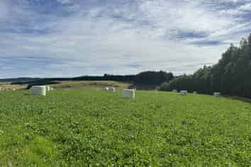 715 Cross Road, Dacre