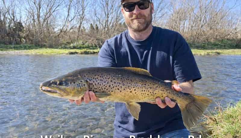 132 Bradshaws Road, WAIMATE