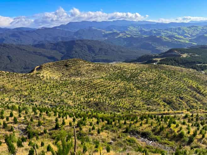 2526 Putere Road, Putere