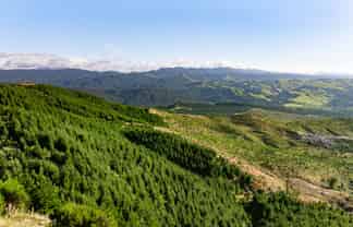 2526 Putere Road, Putere