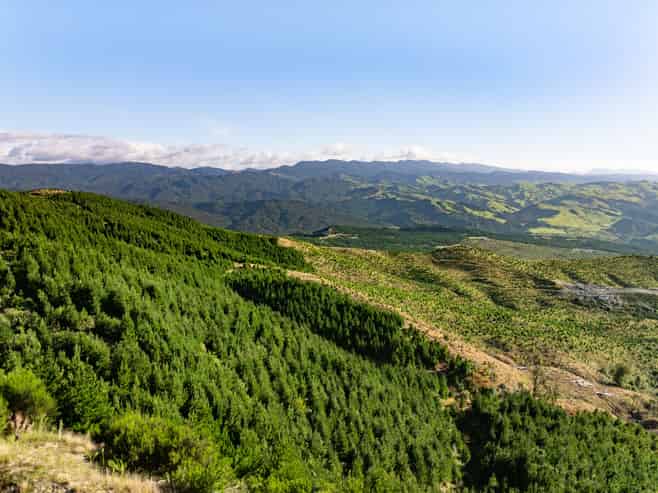 2526 Putere Road, Putere