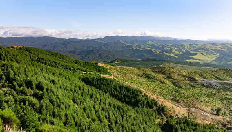 2526 Putere Road, Putere