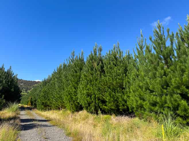 2526 Putere Road, Putere