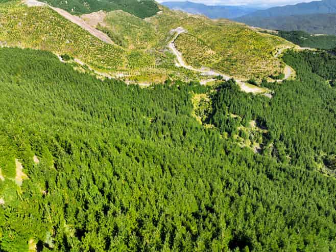 2526 Putere Road, Putere