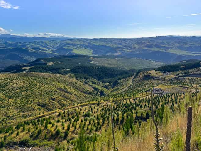 2526 Putere Road, Putere