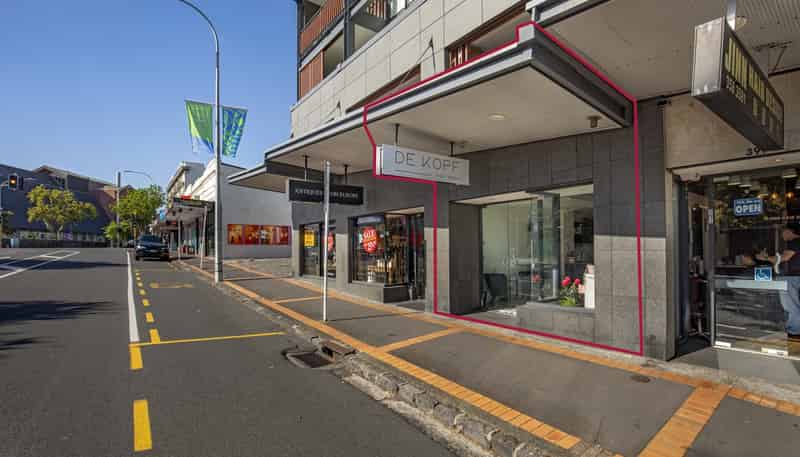 393 Parnell Road, Parnell