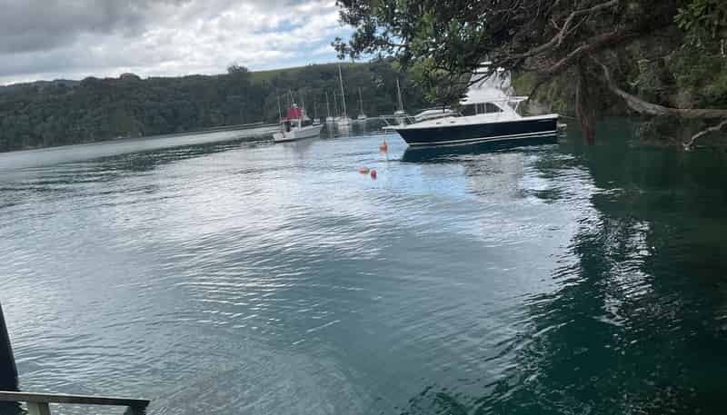 200 Ti Point Road, Leigh