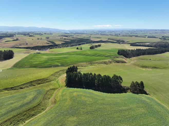 675 Black Bridge Road, Ashley Downs