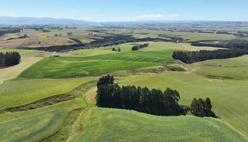 675 Black Bridge Road, Ashley Downs