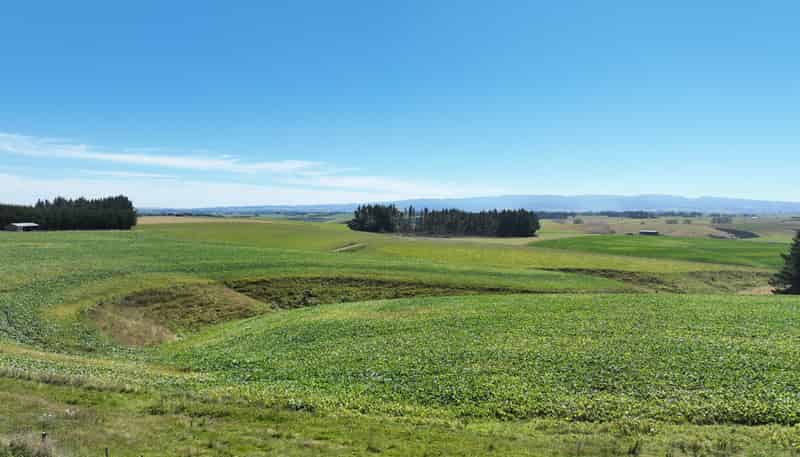675 Black Bridge Road, Ashley Downs
