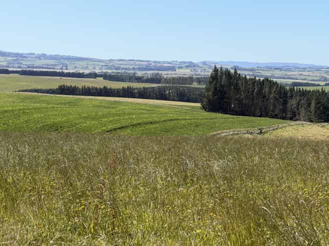 675 Black Bridge Road, Ashley Downs