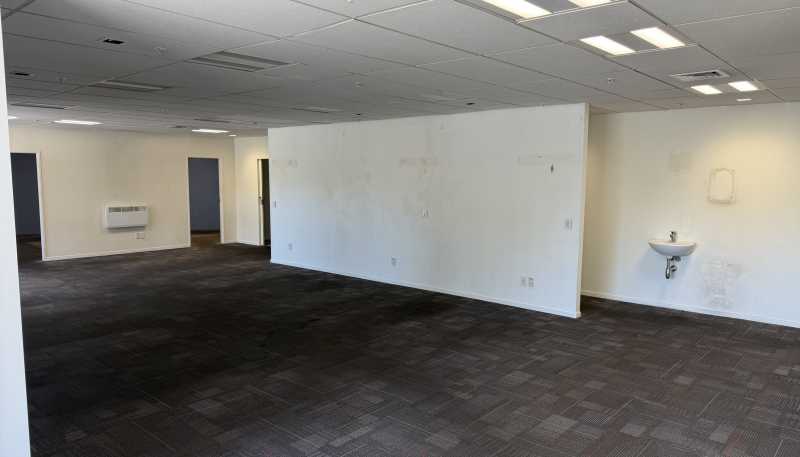 82 Riddiford Street, Newtown
