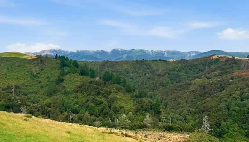 520 Traceys Road, Loburn