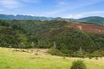 520 Traceys Road, Loburn