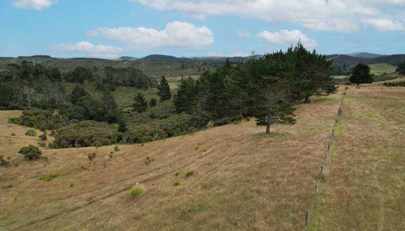  State Highway 12, Dargaville