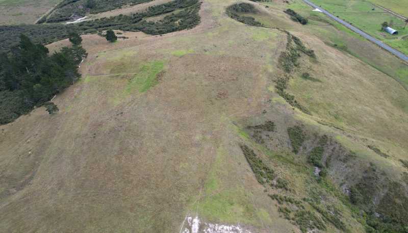  State Highway 12, Dargaville