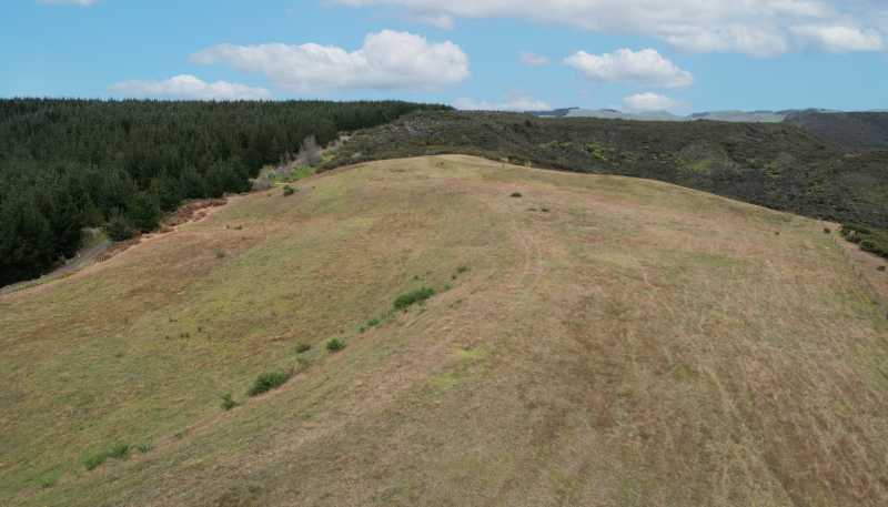  State Highway 12, Dargaville