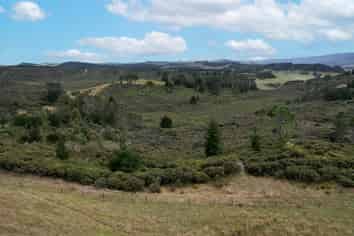  State Highway 12, Dargaville