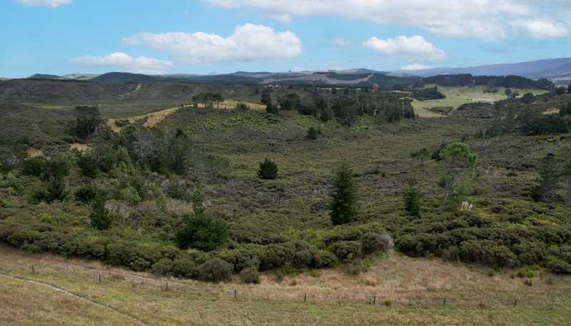  State Highway 12, Dargaville