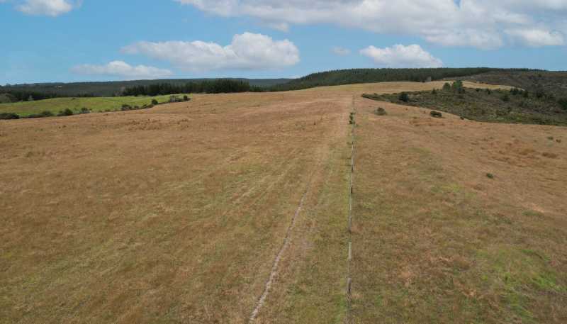  State Highway 12, Dargaville