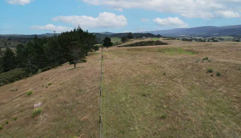  State Highway 12, Dargaville