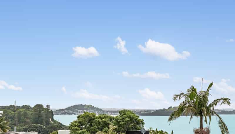 42 Ronaki Road, Mission Bay